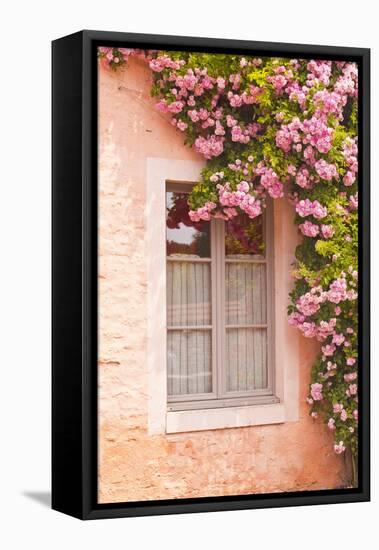 A Rose Covered Window in the Village of Noyers Sur Serein in Yonne, Burgundy, France, Europe-Julian Elliott-Framed Stretched Canvas