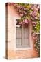 A Rose Covered Window in the Village of Noyers Sur Serein in Yonne, Burgundy, France, Europe-Julian Elliott-Stretched Canvas