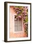 A Rose Covered Window in the Village of Noyers Sur Serein in Yonne, Burgundy, France, Europe-Julian Elliott-Framed Photographic Print