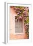 A Rose Covered Window in the Village of Noyers Sur Serein in Yonne, Burgundy, France, Europe-Julian Elliott-Framed Photographic Print