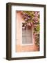 A Rose Covered Window in the Village of Noyers Sur Serein in Yonne, Burgundy, France, Europe-Julian Elliott-Framed Photographic Print