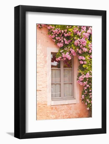 A Rose Covered Window in the Village of Noyers Sur Serein in Yonne, Burgundy, France, Europe-Julian Elliott-Framed Photographic Print