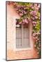 A Rose Covered Window in the Village of Noyers Sur Serein in Yonne, Burgundy, France, Europe-Julian Elliott-Mounted Photographic Print