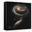 A "Rose" Made of Galaxies Highlights Hubble's 21st Anniversary-null-Framed Stretched Canvas