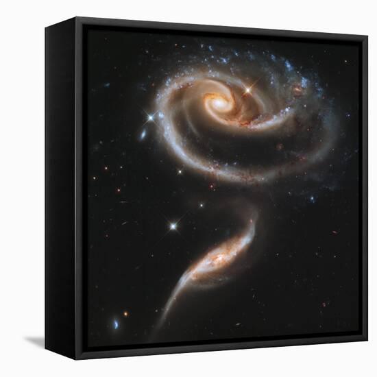 A "Rose" Made of Galaxies Highlights Hubble's 21st Anniversary-null-Framed Stretched Canvas