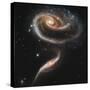 A "Rose" Made of Galaxies Highlights Hubble's 21st Anniversary-null-Stretched Canvas