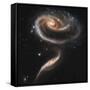 A "Rose" Made of Galaxies Highlights Hubble's 21st Anniversary-null-Framed Stretched Canvas