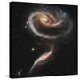 A "Rose" Made of Galaxies Highlights Hubble's 21st Anniversary-null-Stretched Canvas