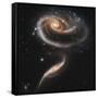 A "Rose" Made of Galaxies Highlights Hubble's 21st Anniversary-null-Framed Stretched Canvas