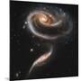 A "Rose" Made of Galaxies Highlights Hubble's 21st Anniversary-null-Mounted Photographic Print