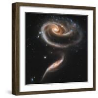 A "Rose" Made of Galaxies Highlights Hubble's 21st Anniversary-null-Framed Photographic Print