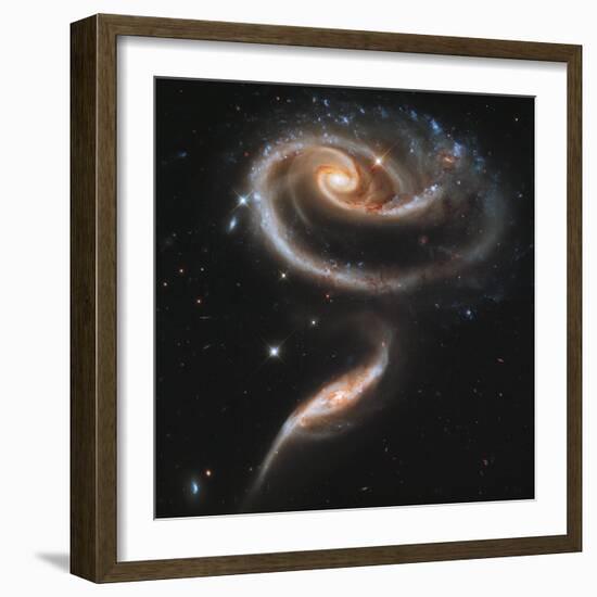 A "Rose" Made of Galaxies Highlights Hubble's 21st Anniversary-null-Framed Photographic Print