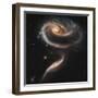 A "Rose" Made of Galaxies Highlights Hubble's 21st Anniversary-null-Framed Photographic Print