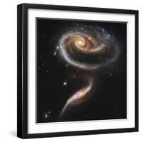 A "Rose" Made of Galaxies Highlights Hubble's 21st Anniversary-null-Framed Photographic Print