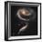 A "Rose" Made of Galaxies Highlights Hubble's 21st Anniversary-null-Framed Photographic Print