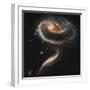 A "Rose" Made of Galaxies Highlights Hubble's 21st Anniversary-null-Framed Photographic Print