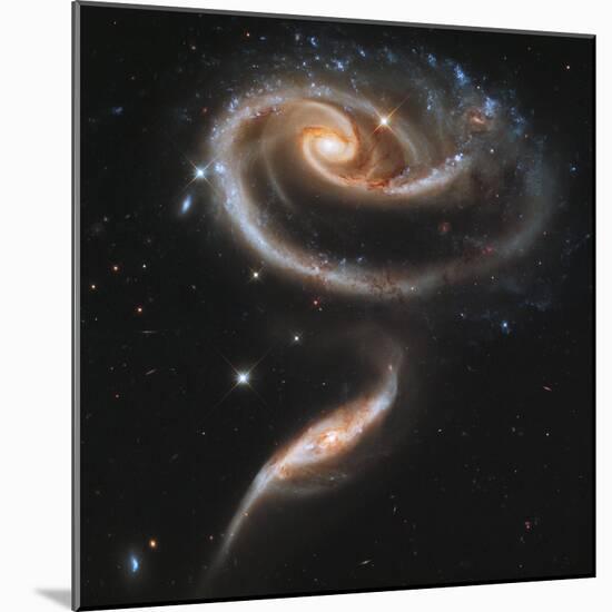 A "Rose" Made of Galaxies Highlights Hubble's 21st Anniversary-null-Mounted Photographic Print