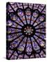 A Rose Window in Notre Dame Cathedral, Paris, France-William Sutton-Stretched Canvas