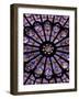 A Rose Window in Notre Dame Cathedral, Paris, France-William Sutton-Framed Photographic Print