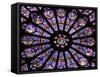 A Rose Window in Notre Dame Cathedral, Paris, France-William Sutton-Framed Stretched Canvas