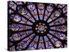 A Rose Window in Notre Dame Cathedral, Paris, France-William Sutton-Stretched Canvas