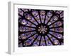 A Rose Window in Notre Dame Cathedral, Paris, France-William Sutton-Framed Premium Photographic Print