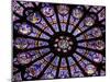 A Rose Window in Notre Dame Cathedral, Paris, France-William Sutton-Mounted Premium Photographic Print