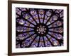 A Rose Window in Notre Dame Cathedral, Paris, France-William Sutton-Framed Photographic Print