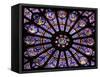 A Rose Window in Notre Dame Cathedral, Paris, France-William Sutton-Framed Stretched Canvas