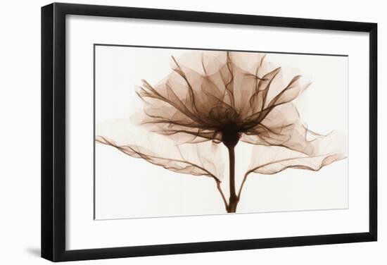 A Rose-Steven N^ Meyers-Framed Art Print