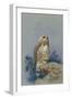 A Rough Legged Buzzard, 1917-Archibald Thorburn-Framed Giclee Print