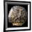 A Round Medallion Plate Describing Cybele, 2th Century BC-null-Framed Photographic Print