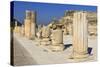 A Row of Columns, Ancient Ephesus, Near Kusadasi, Anatolia, Turkey, Asia Minor, Eurasia-Eleanor Scriven-Stretched Canvas