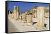 A Row of Columns, Ancient Ephesus, Near Kusadasi, Anatolia, Turkey, Asia Minor, Eurasia-Eleanor Scriven-Framed Stretched Canvas