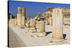 A Row of Columns, Ancient Ephesus, Near Kusadasi, Anatolia, Turkey, Asia Minor, Eurasia-Eleanor Scriven-Stretched Canvas