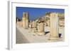 A Row of Columns, Ancient Ephesus, Near Kusadasi, Anatolia, Turkey, Asia Minor, Eurasia-Eleanor Scriven-Framed Photographic Print