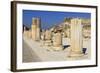 A Row of Columns, Ancient Ephesus, Near Kusadasi, Anatolia, Turkey, Asia Minor, Eurasia-Eleanor Scriven-Framed Photographic Print