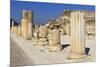 A Row of Columns, Ancient Ephesus, Near Kusadasi, Anatolia, Turkey, Asia Minor, Eurasia-Eleanor Scriven-Mounted Photographic Print