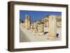 A Row of Columns, Ancient Ephesus, Near Kusadasi, Anatolia, Turkey, Asia Minor, Eurasia-Eleanor Scriven-Framed Photographic Print