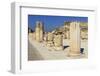 A Row of Columns, Ancient Ephesus, Near Kusadasi, Anatolia, Turkey, Asia Minor, Eurasia-Eleanor Scriven-Framed Photographic Print