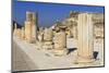 A Row of Columns, Ancient Ephesus, Near Kusadasi, Anatolia, Turkey, Asia Minor, Eurasia-Eleanor Scriven-Mounted Photographic Print