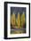 A row of poplar trees in autumnal colours, San Carlos de Bariloche, Patagonia, Argentina-Ed Rhodes-Framed Photographic Print