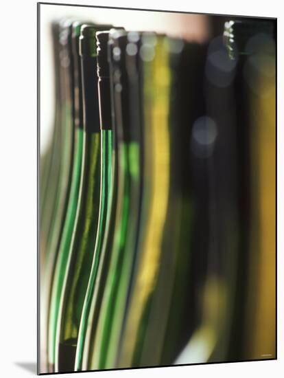 A Row of Riesling Bottles at Henschke Winery, Australia-Steven Morris-Mounted Photographic Print