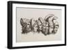 A Row Of Seven Heads Of Classical Heroes and Heroines From the Stories Of Homer.-HW Tischbein-Framed Giclee Print