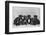 A Row of Six Puppies. Owner: Burge-Smith-null-Framed Photographic Print