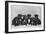 A Row of Six Puppies. Owner: Burge-Smith-null-Framed Photographic Print