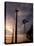 A Row of Wind Turbines-Charlie Riedel-Stretched Canvas