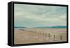 A Row of Wooden Posts on a Beach-Clive Nolan-Framed Stretched Canvas