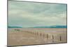 A Row of Wooden Posts on a Beach-Clive Nolan-Mounted Photographic Print