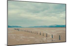 A Row of Wooden Posts on a Beach-Clive Nolan-Mounted Photographic Print